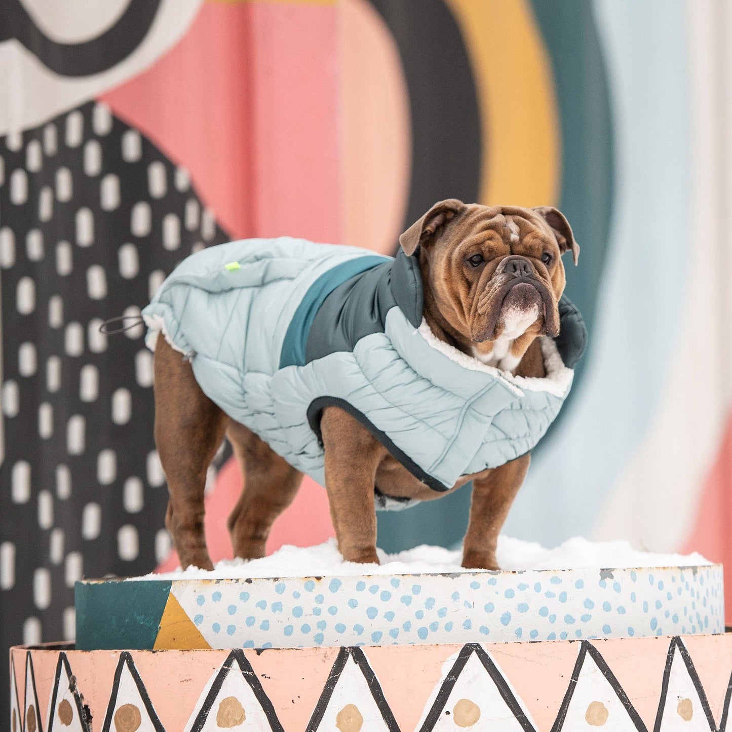 GF Pet Retro Puffer - Light Blue: