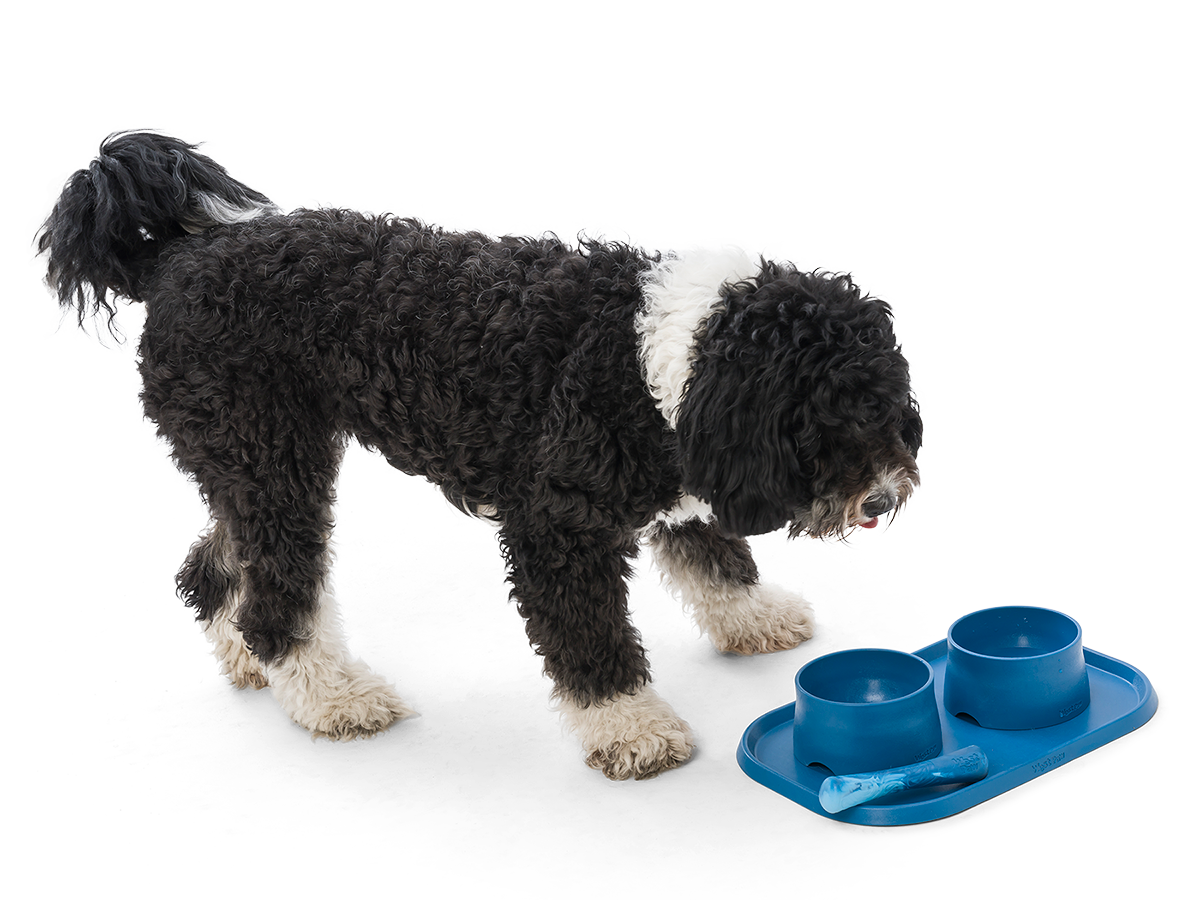 Drifty® Dog Toy for Chew, and Fetch: Small / Hibiscus