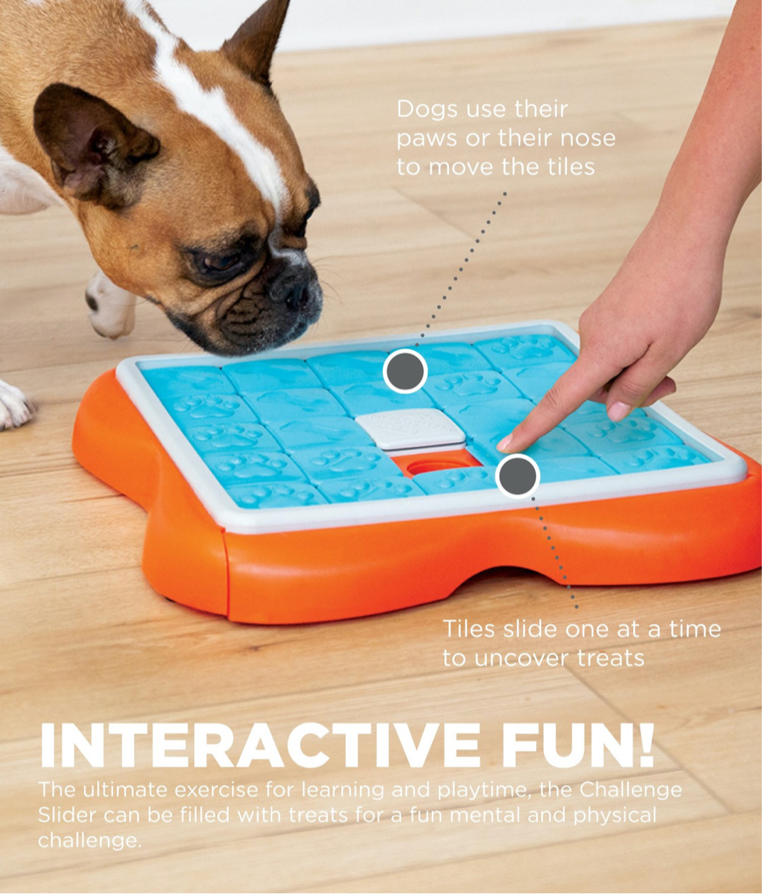 Nina Ottosson Challenge Slider Interactive Treat Dog Puzzle Toy Blue/Orange Level 3