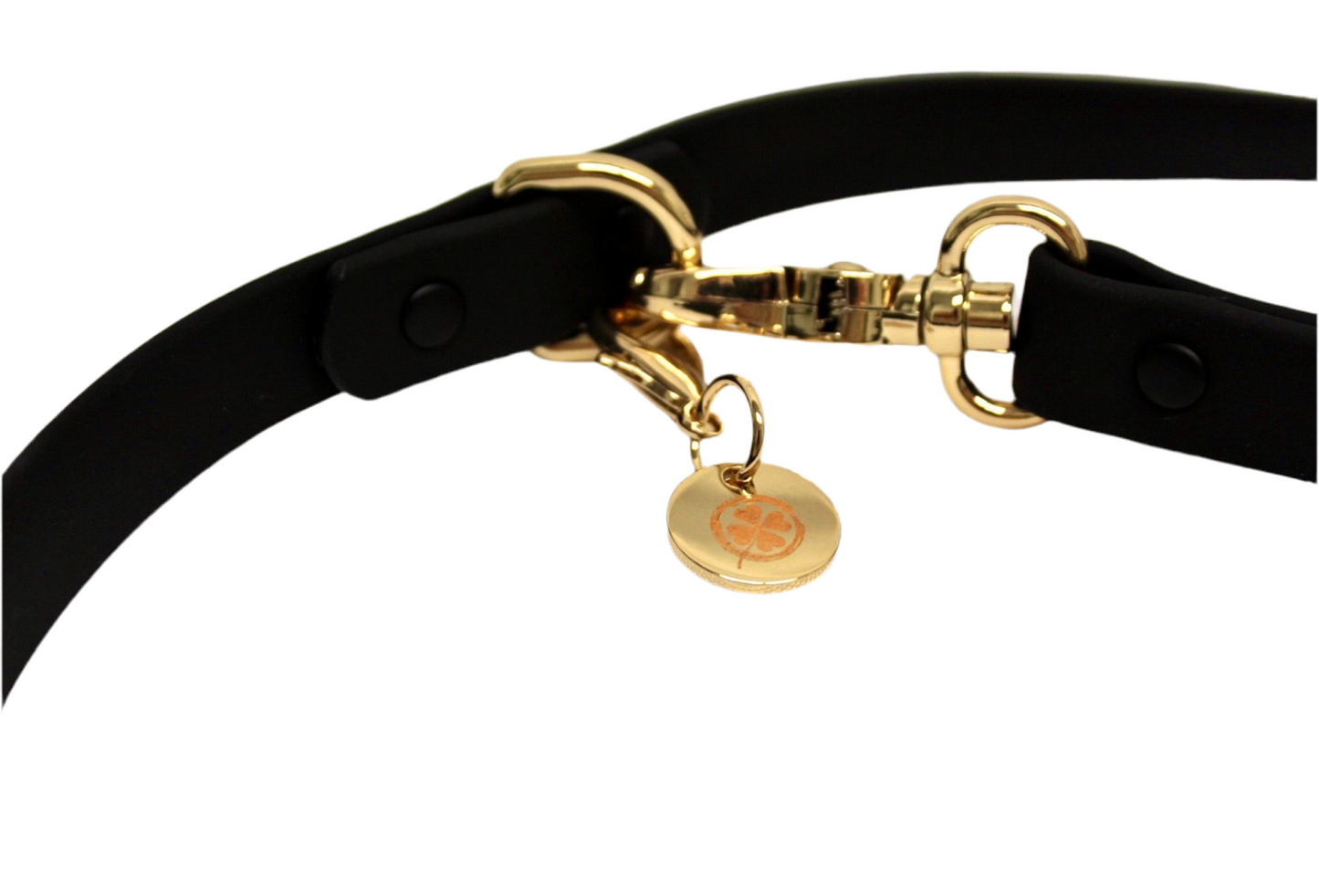 Lucky Dog | Black Hands-Free Leash