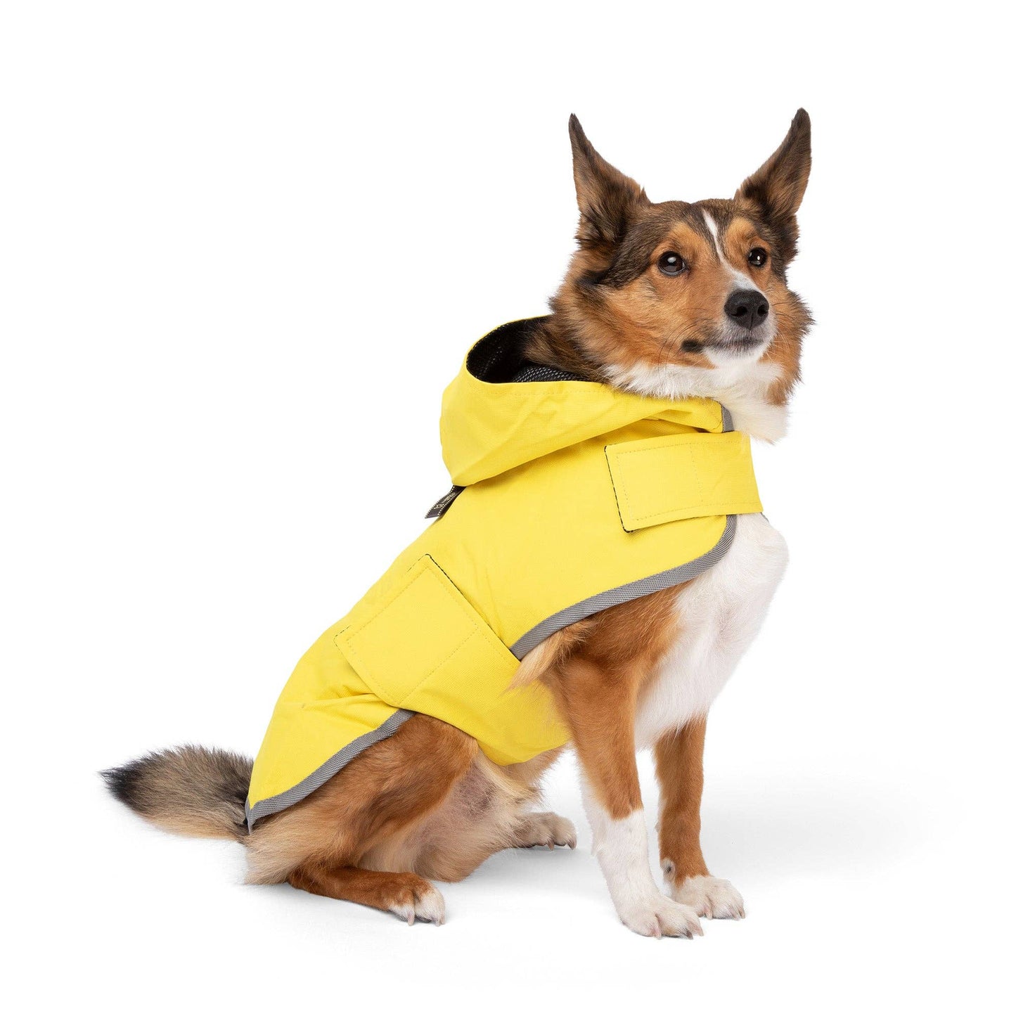 Rain Coat Nandog Sport Collection