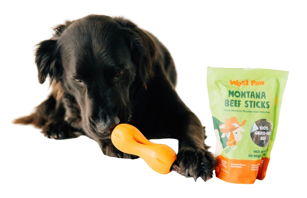 Air-Dried Montana Beef Sticks - Case of 6: Case of 6