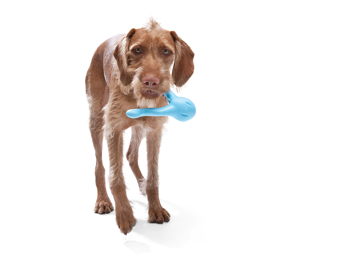 Tizzi® Puzzle Treat-Dispensing Dog Enrichment Toy: S / Tangerine