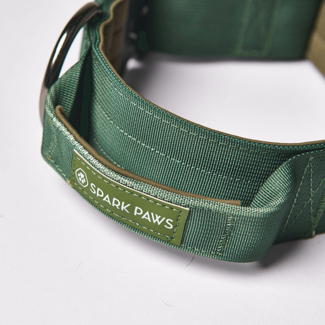 Tactical Dog Collar - Army Green (2"/5cm): S