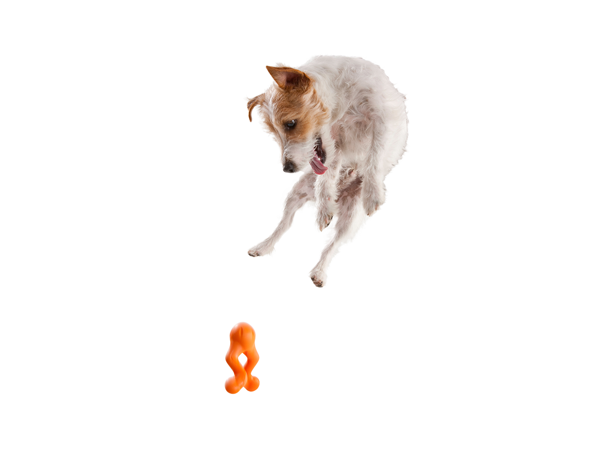 Tizzi® Puzzle Treat-Dispensing Dog Enrichment Toy: S / Tangerine