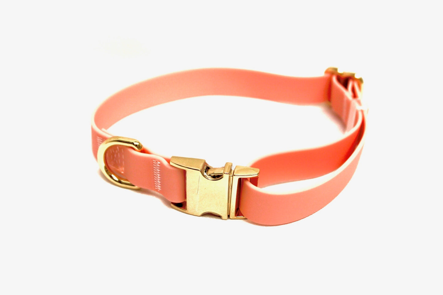 Lucky Dog Pink Collar