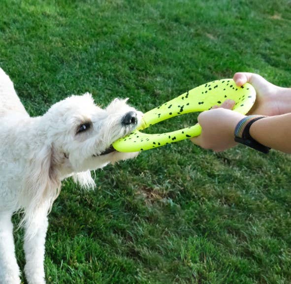 KONG® Reflex Flyer Dog Fetch Toy