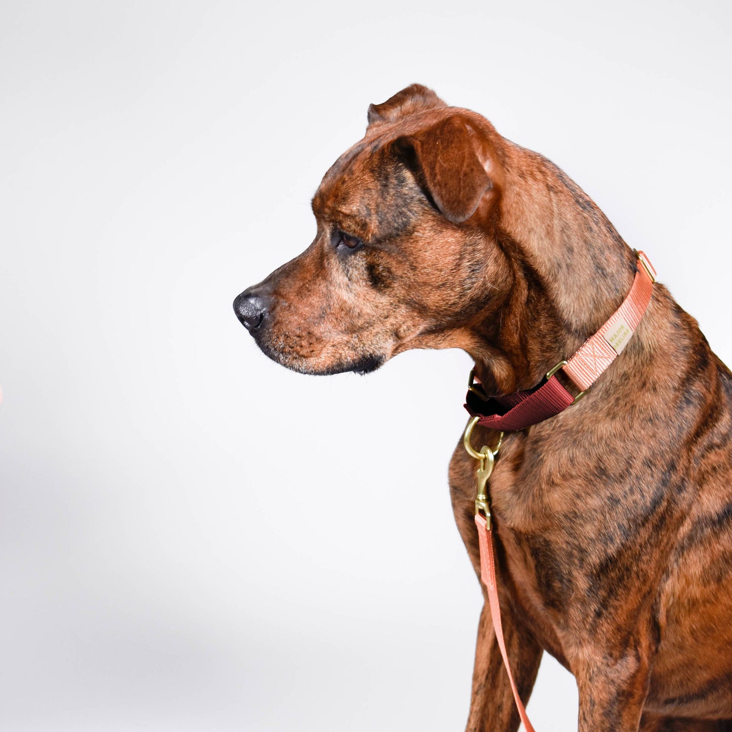 Peach with Merlot Martingale Collar