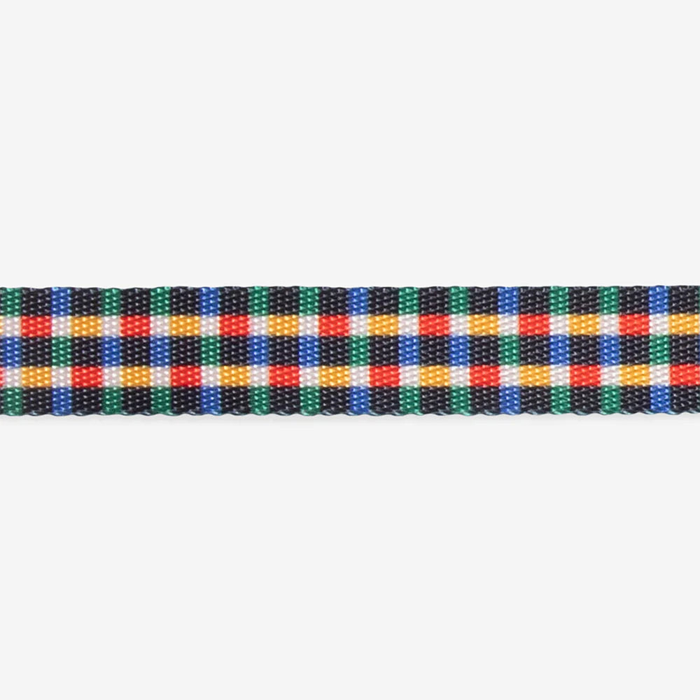 Travis | Collar
