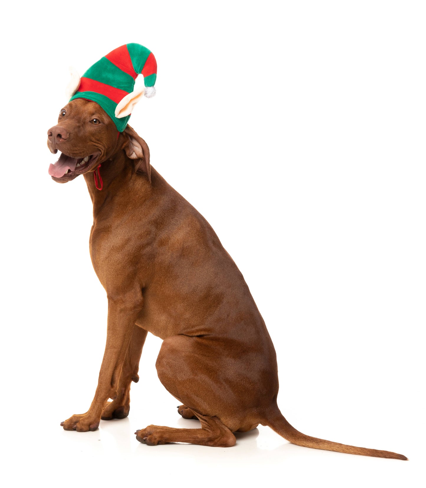 Fuzzyard Elf Hat: M - L