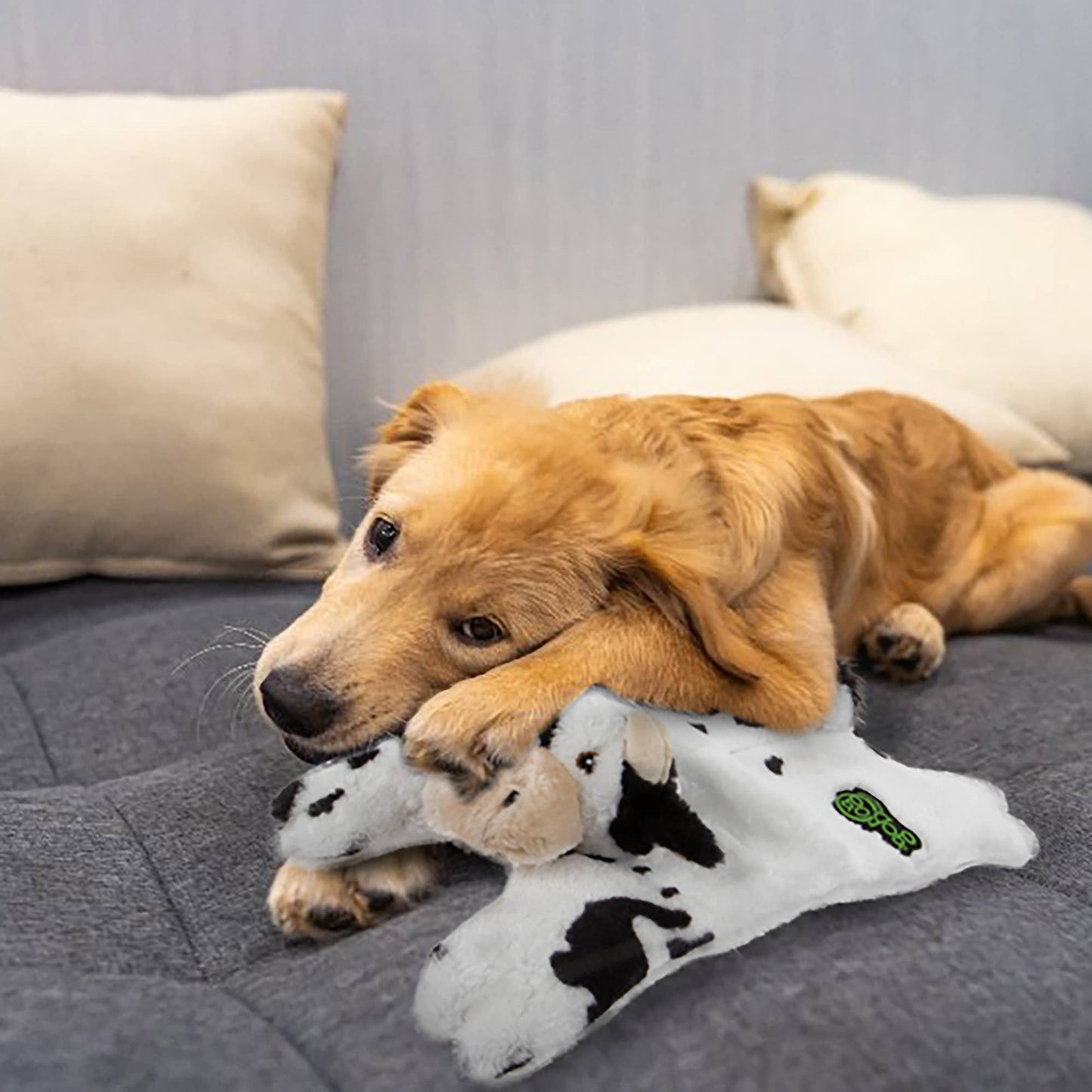 goDog Barnyard Buddies Cow Squeaky Plush Flattie Large