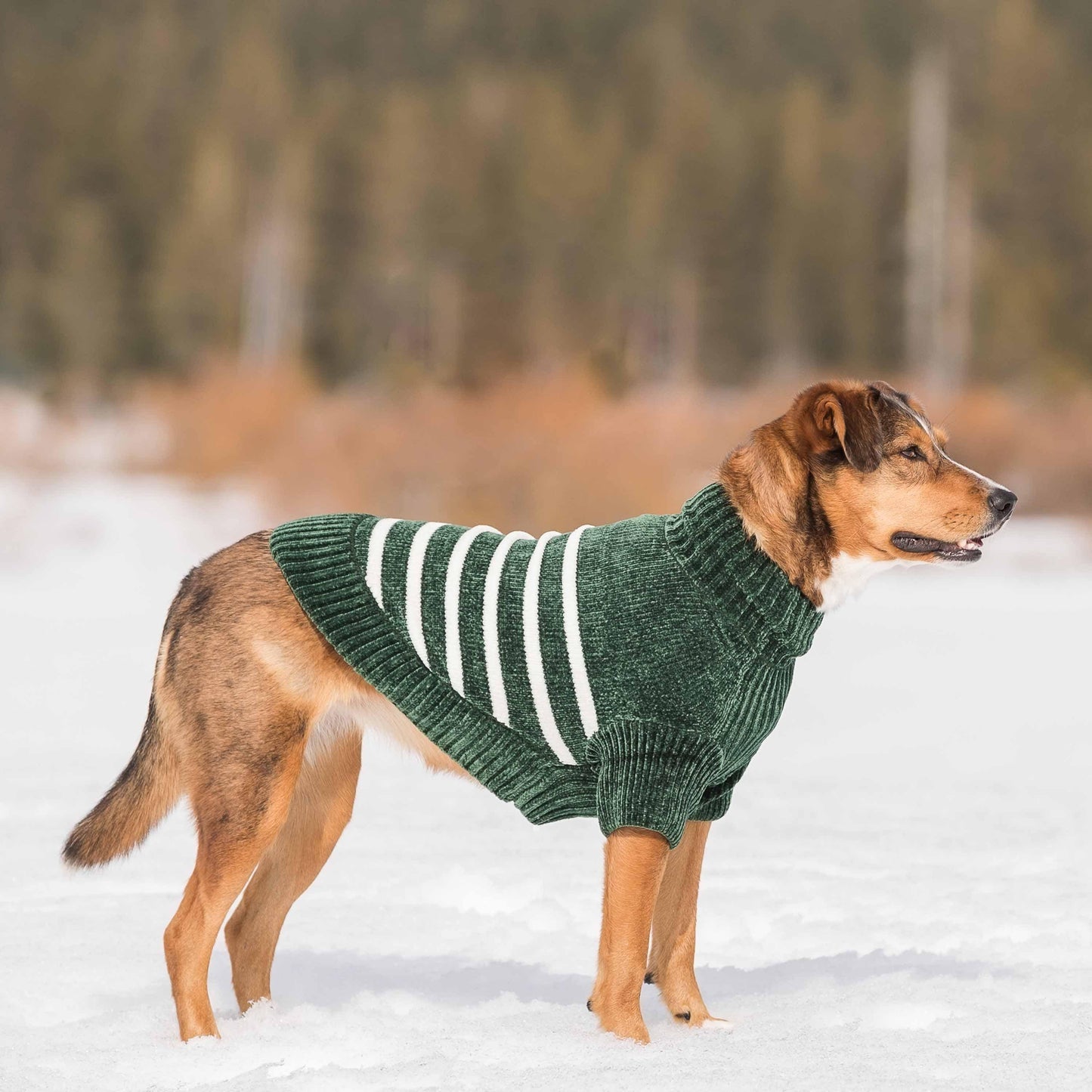 Dog Sweater, Chenille Classy Striped Sweater, Dark Green