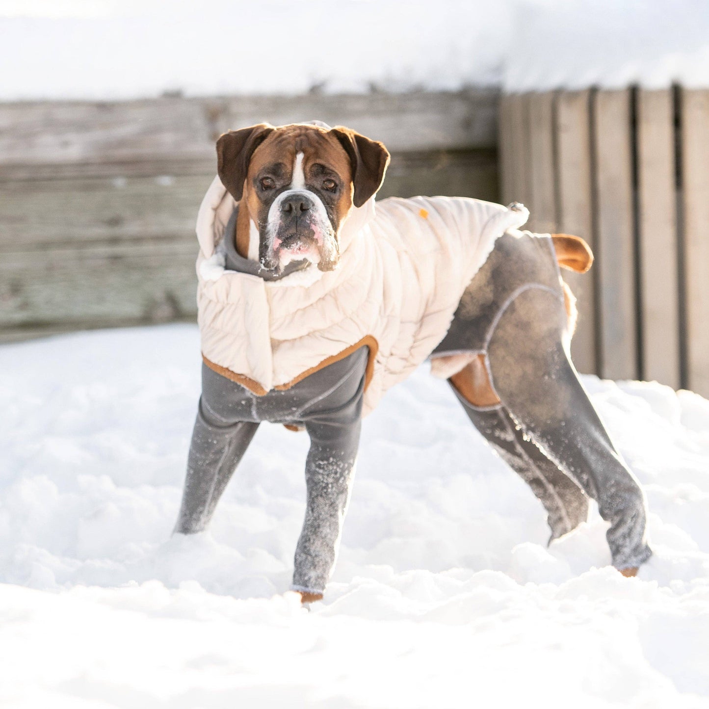 Arctic Parka - Sand: M