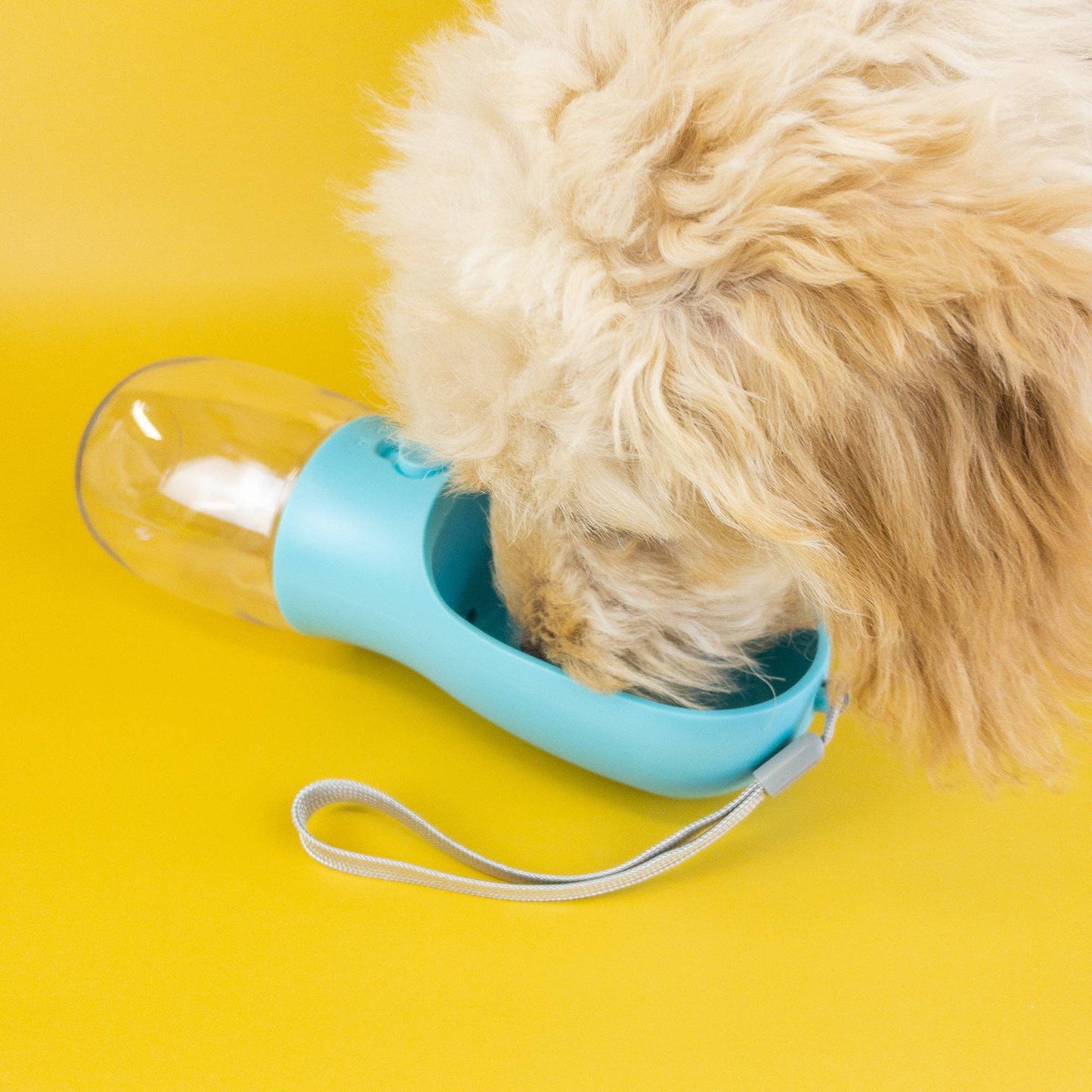 Pet Water Bottle: Pink