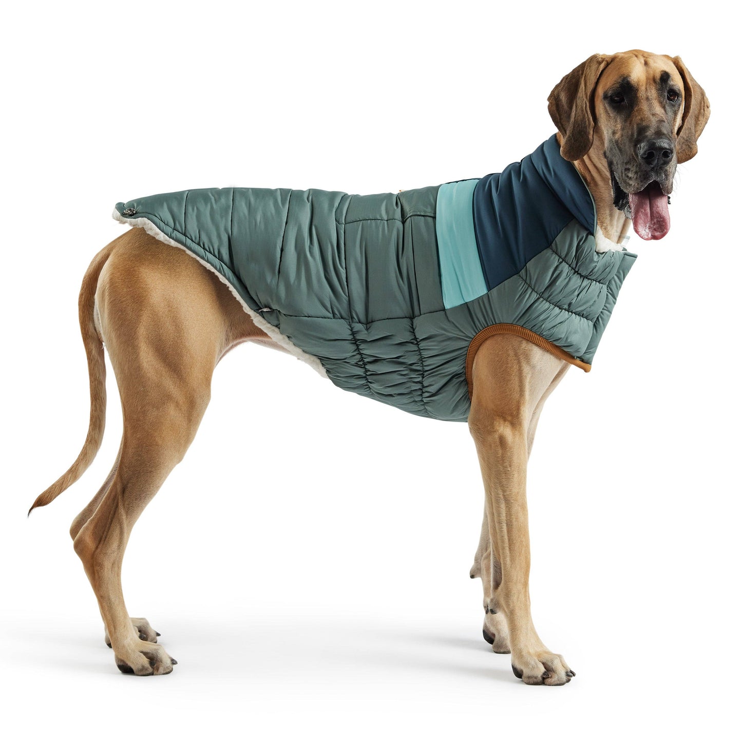 Camplife Puffer - Sage: 3XL