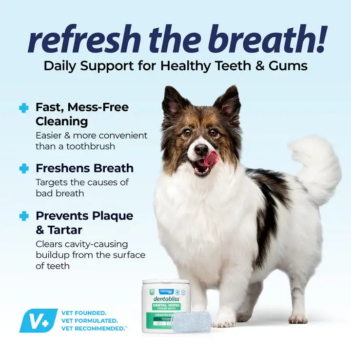 Glandex Dentabliss Breath Freshening Finger Mitt 50ct