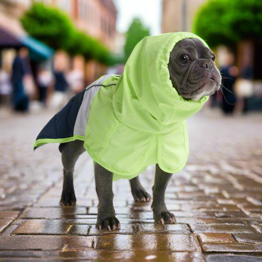 Breatheshield™ Dog Raincoat - Lime White Navy