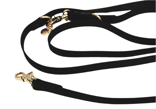 Lucky Dog | Black Hands-Free Leash