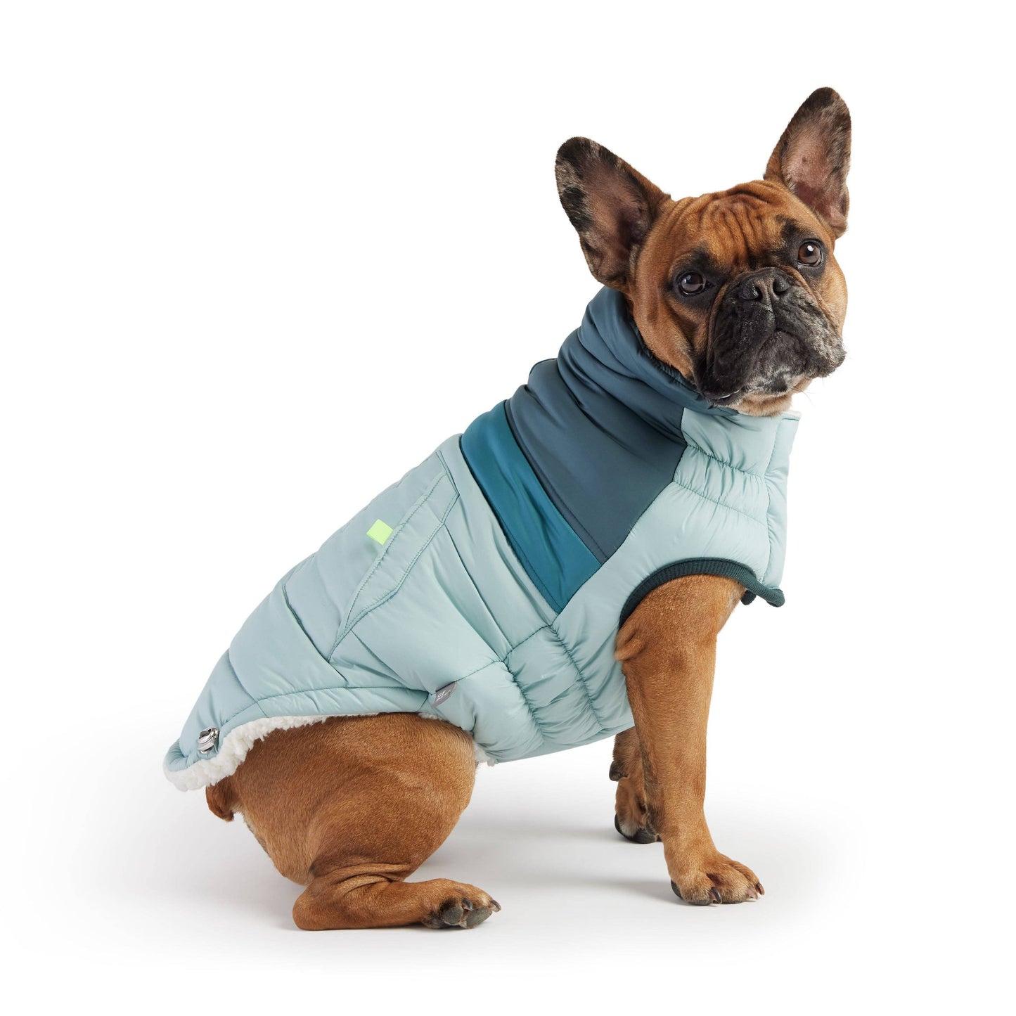 GF Pet Retro Puffer - Light Blue: