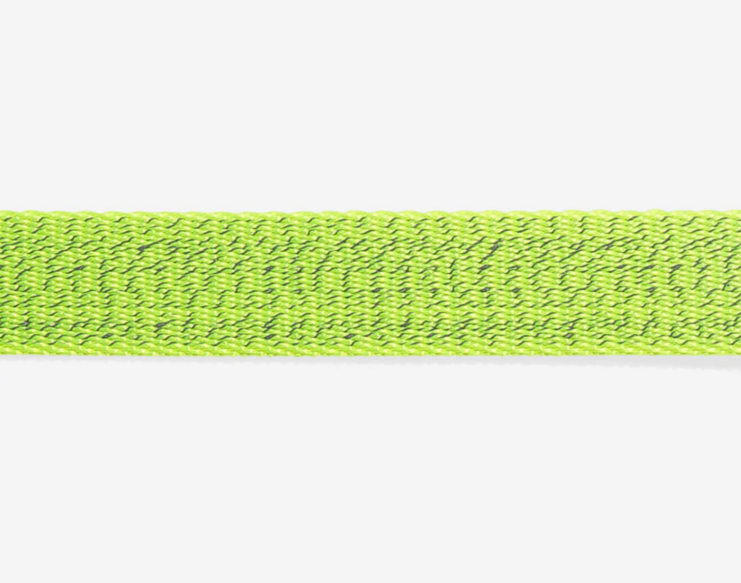 NOX | Lumen Collar