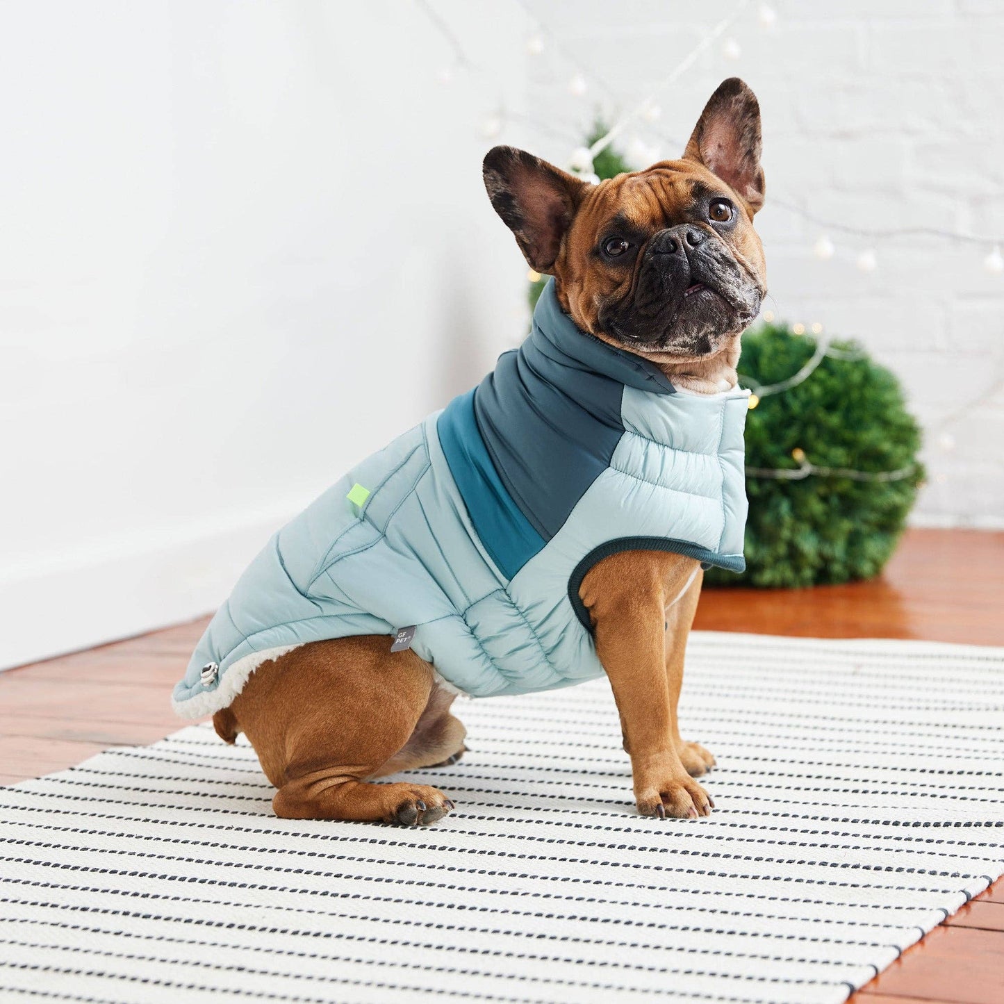 GF Pet Retro Puffer - Light Blue: