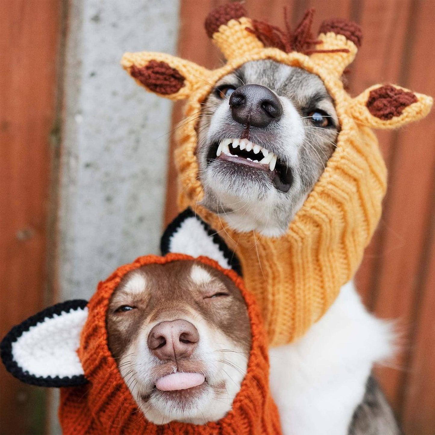 Giraffe Dog Snood