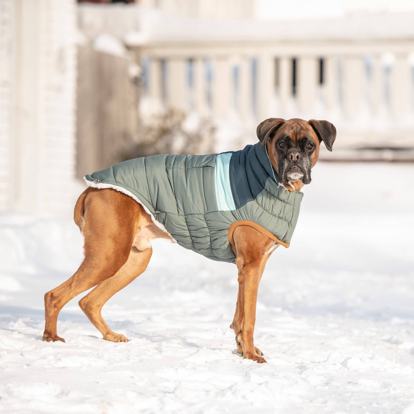 Camplife Puffer - Sage: 3XL