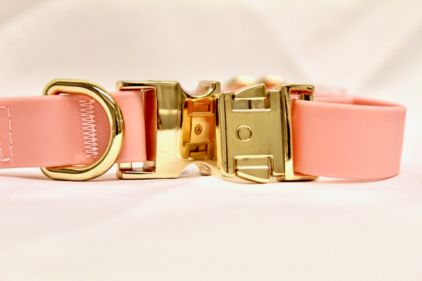 Lucky Dog Pink Collar