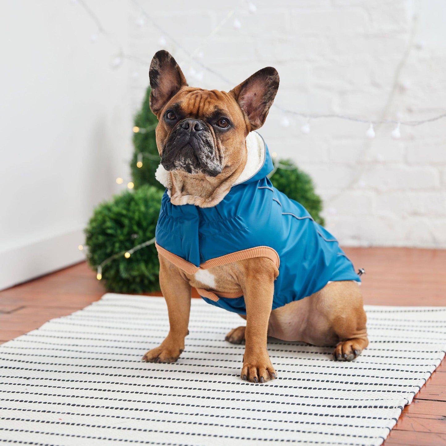 GF Pet Insulated Raincoat - Dark Blue