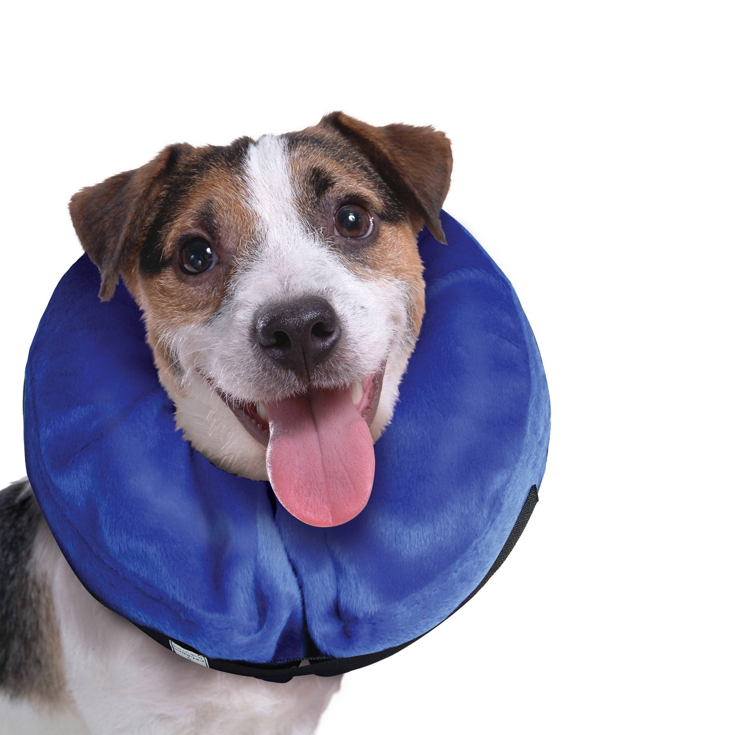 KONG® E-Collar Cloud® Medium