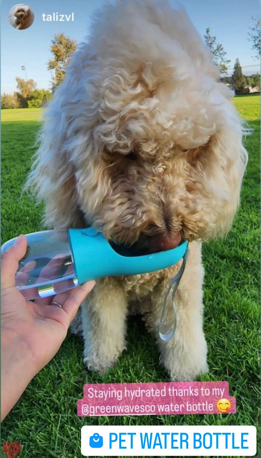 Pet Water Bottle: Pink