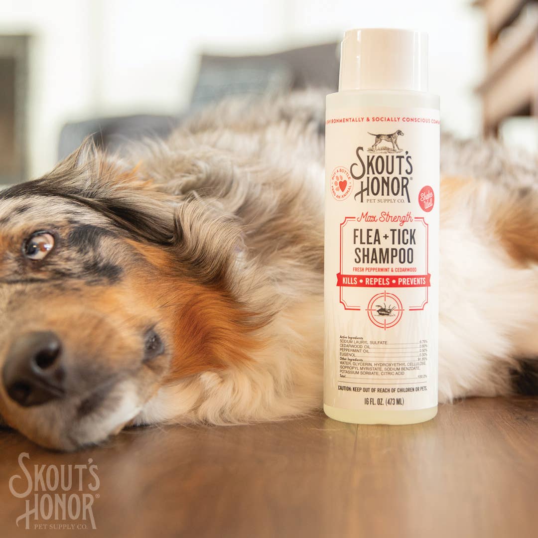 Skout's Honor Flea + Tick Shampoo 16oz