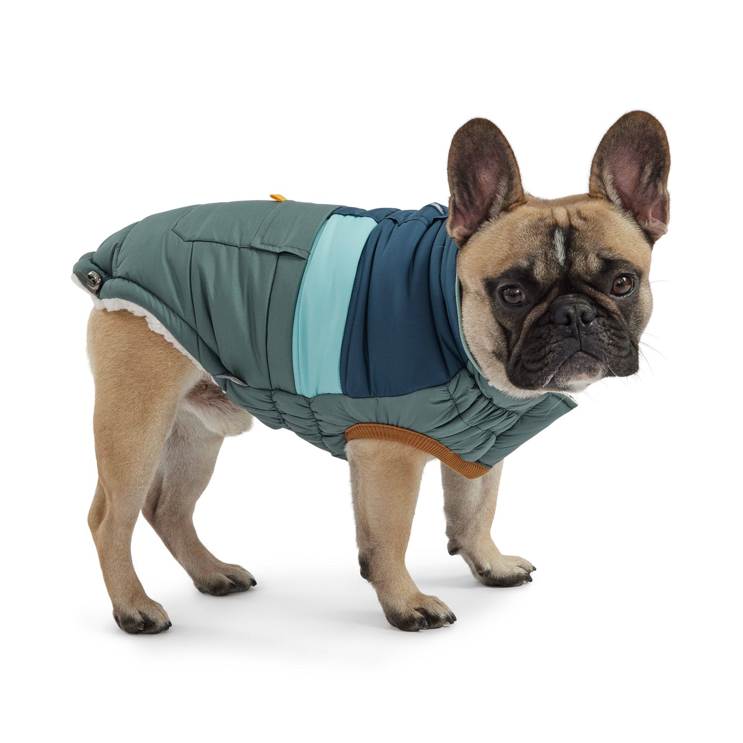 Camplife Puffer - Sage: 4XL