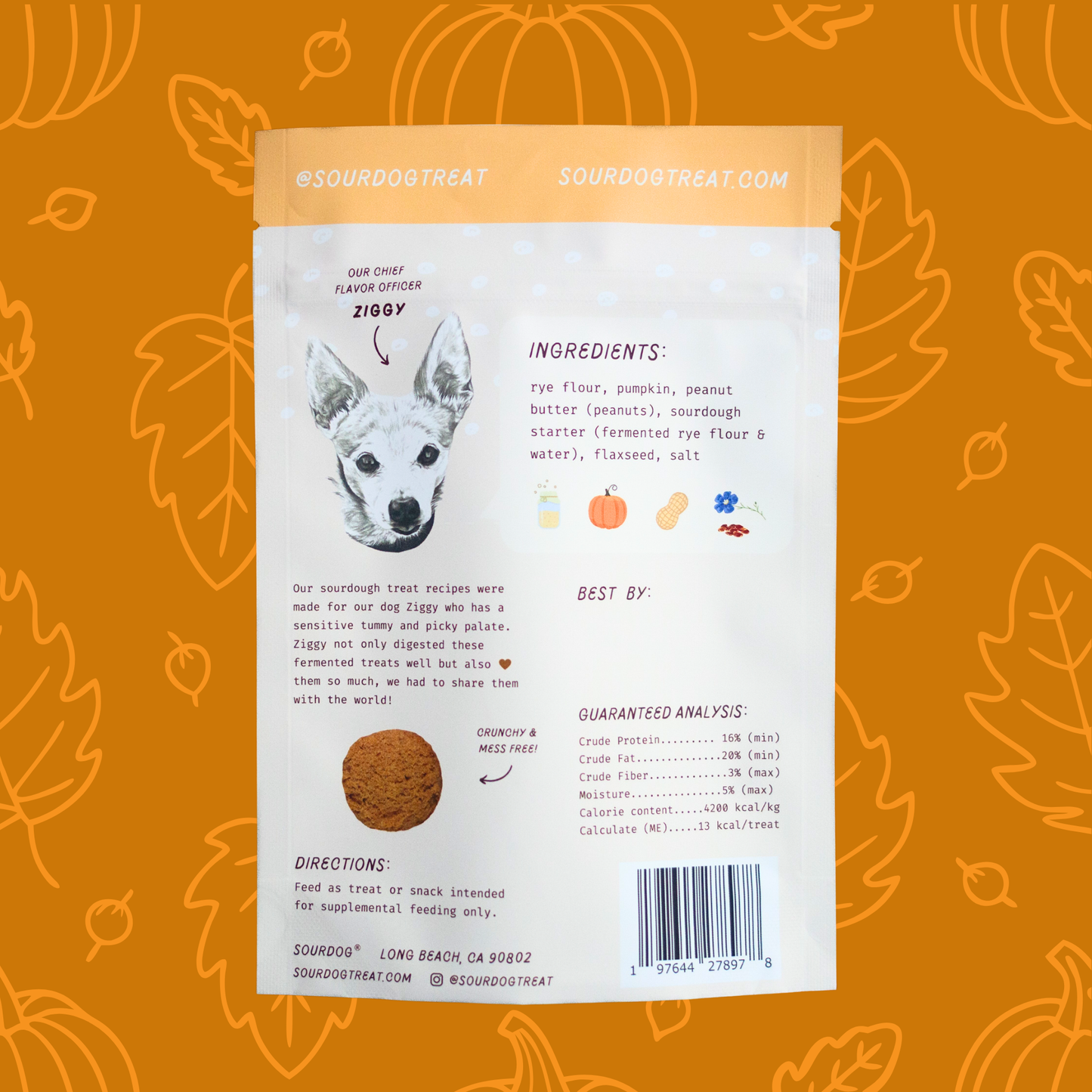 Pupkin Pie - Pumpkin Sourdough Dog Treats