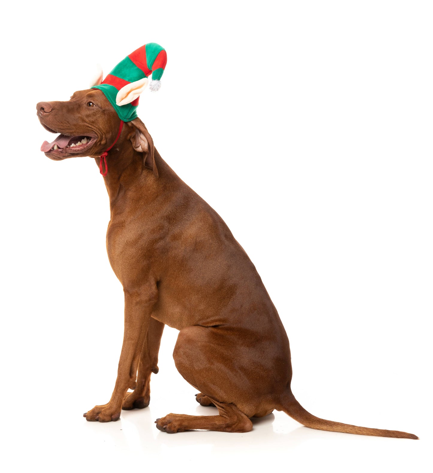 Fuzzyard Elf Hat: M - L