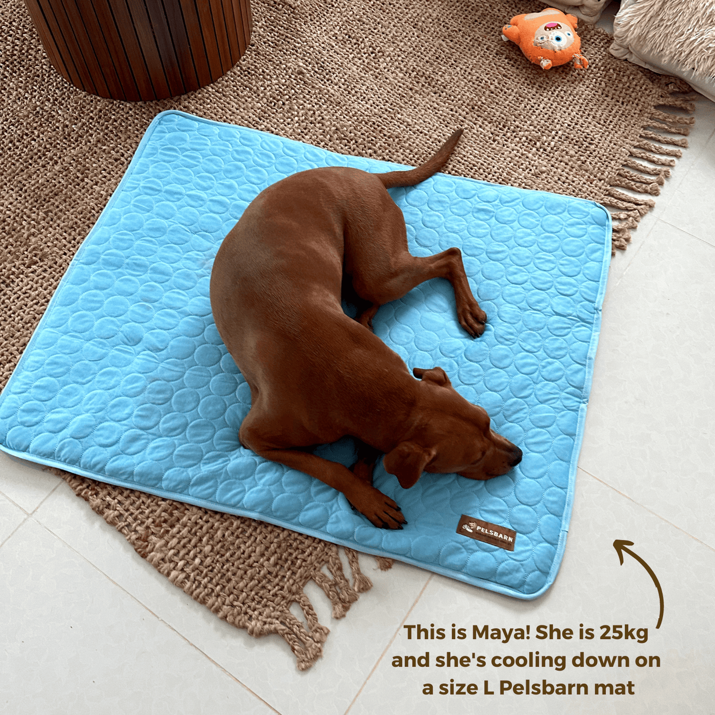 Cooling Mat - Pelsbarn š¾: Light Blue / L