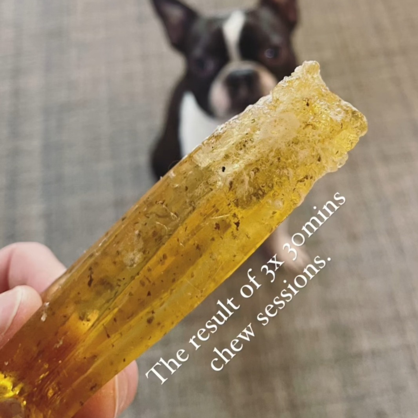 Mighty Marrows Collagen Dental Chew - Pork Parsley -Small