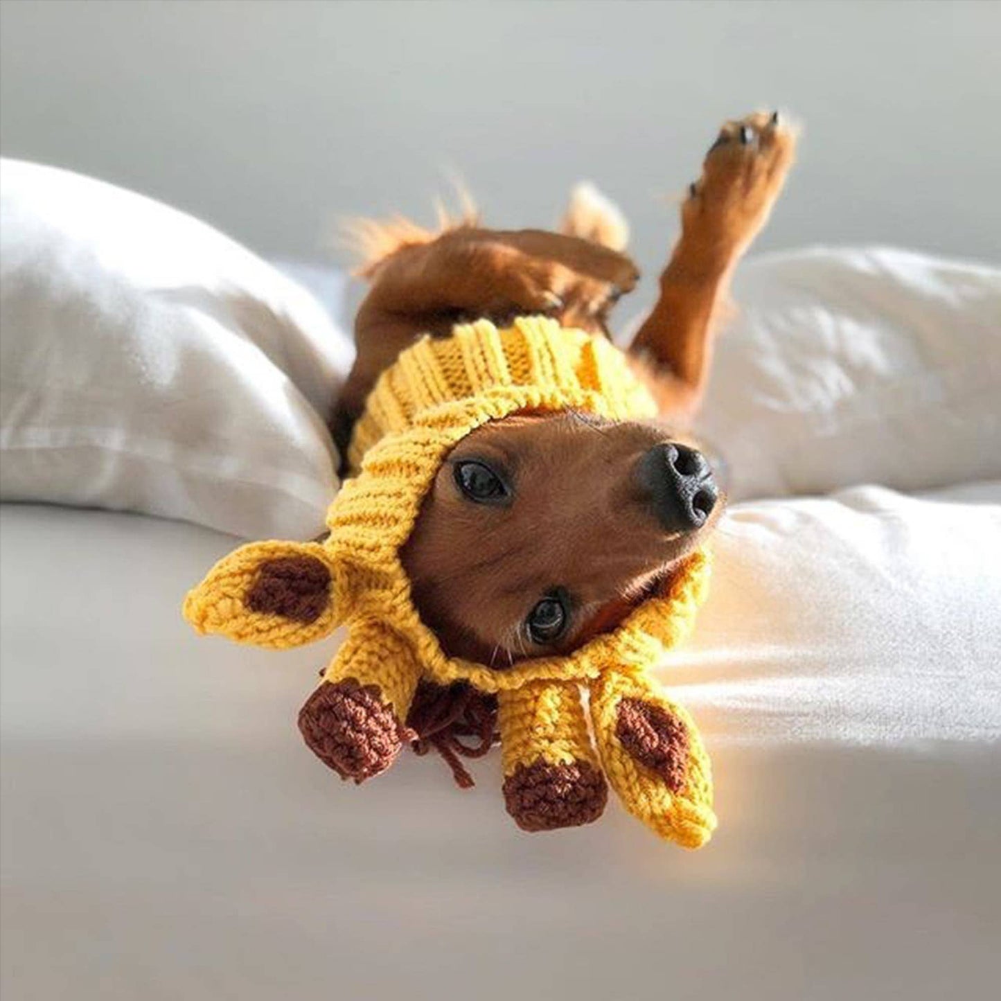 Giraffe Dog Snood