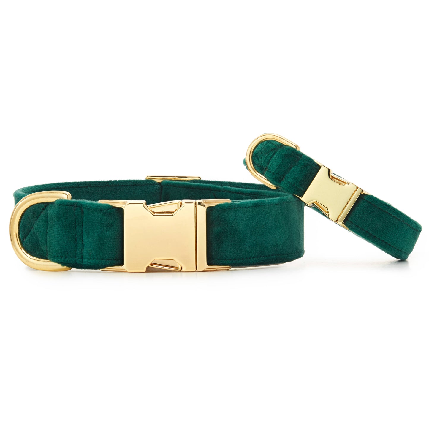 Forest Green Velvet Holiday Day Dog Collar: Gold