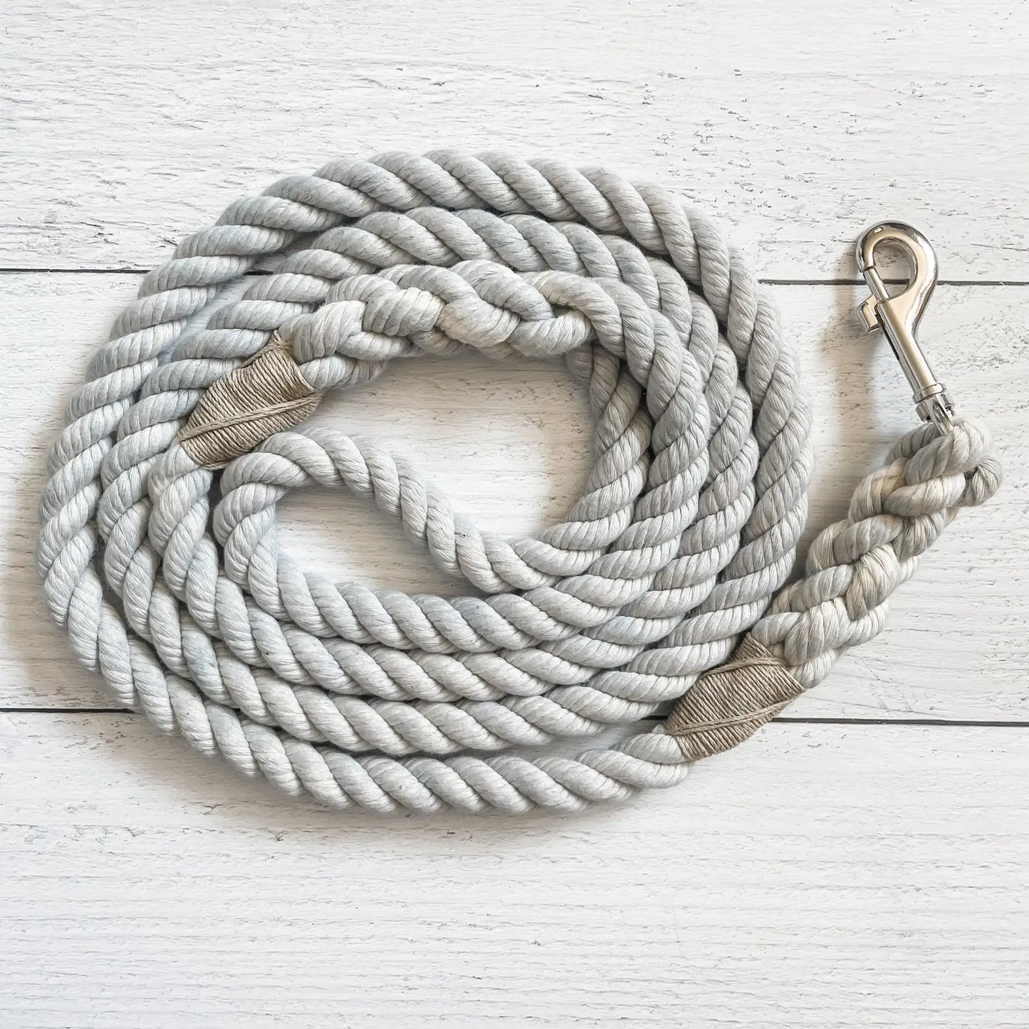 5 Ft. Silver Leash
