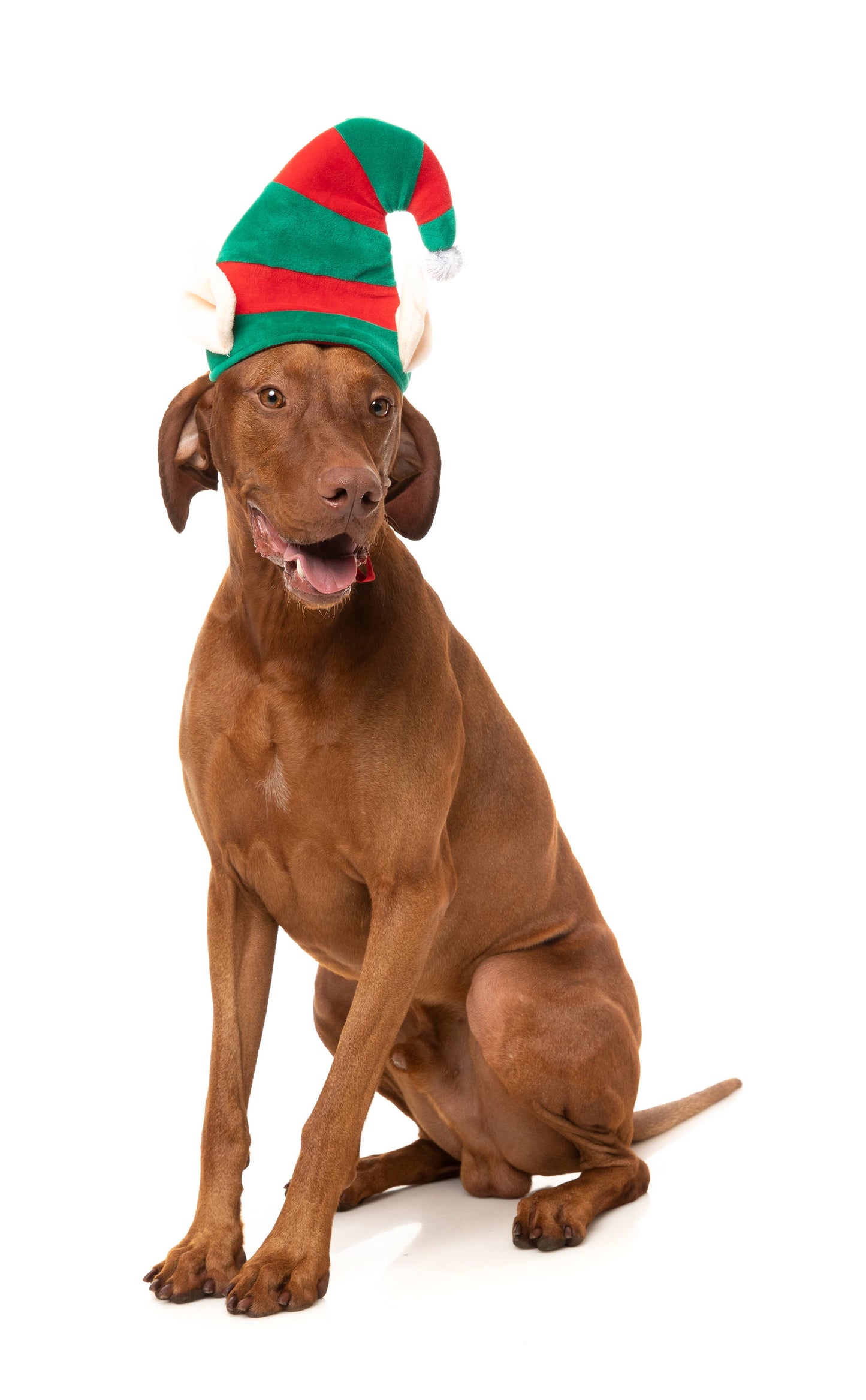 Fuzzyard Elf Hat: M - L