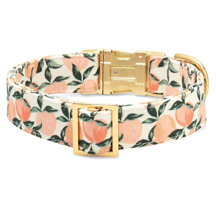 Peaches and Cream Dog Collar