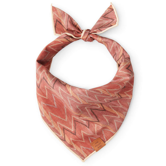 St. Frank Chevron Kilim Boho Dog Bandana