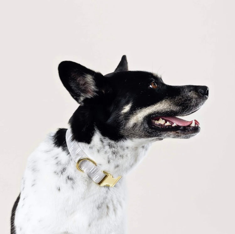 Flax Lines Dog Collar
