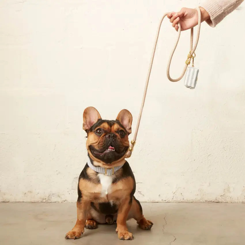 Dusty Blue Stripe Dog Collar