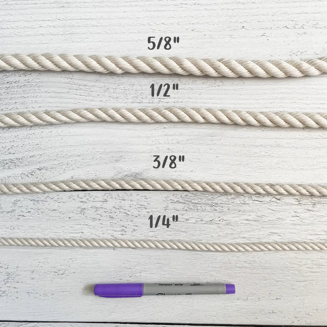 5 Ft. Silver Leash