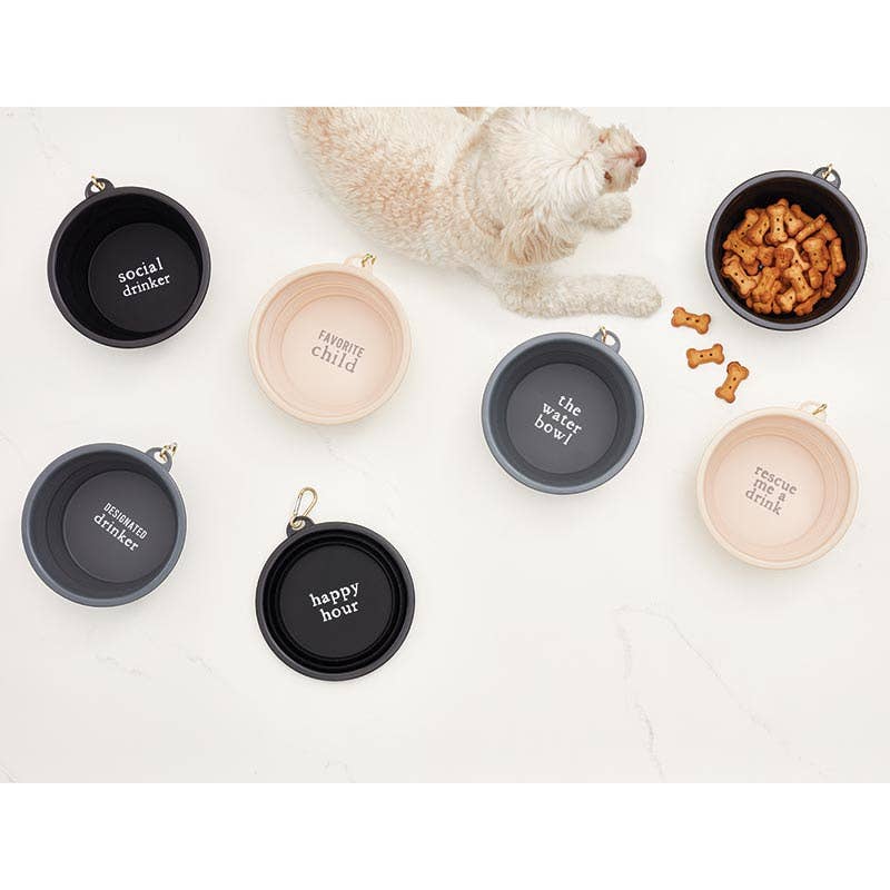 Collapsible Bowl-FavChild