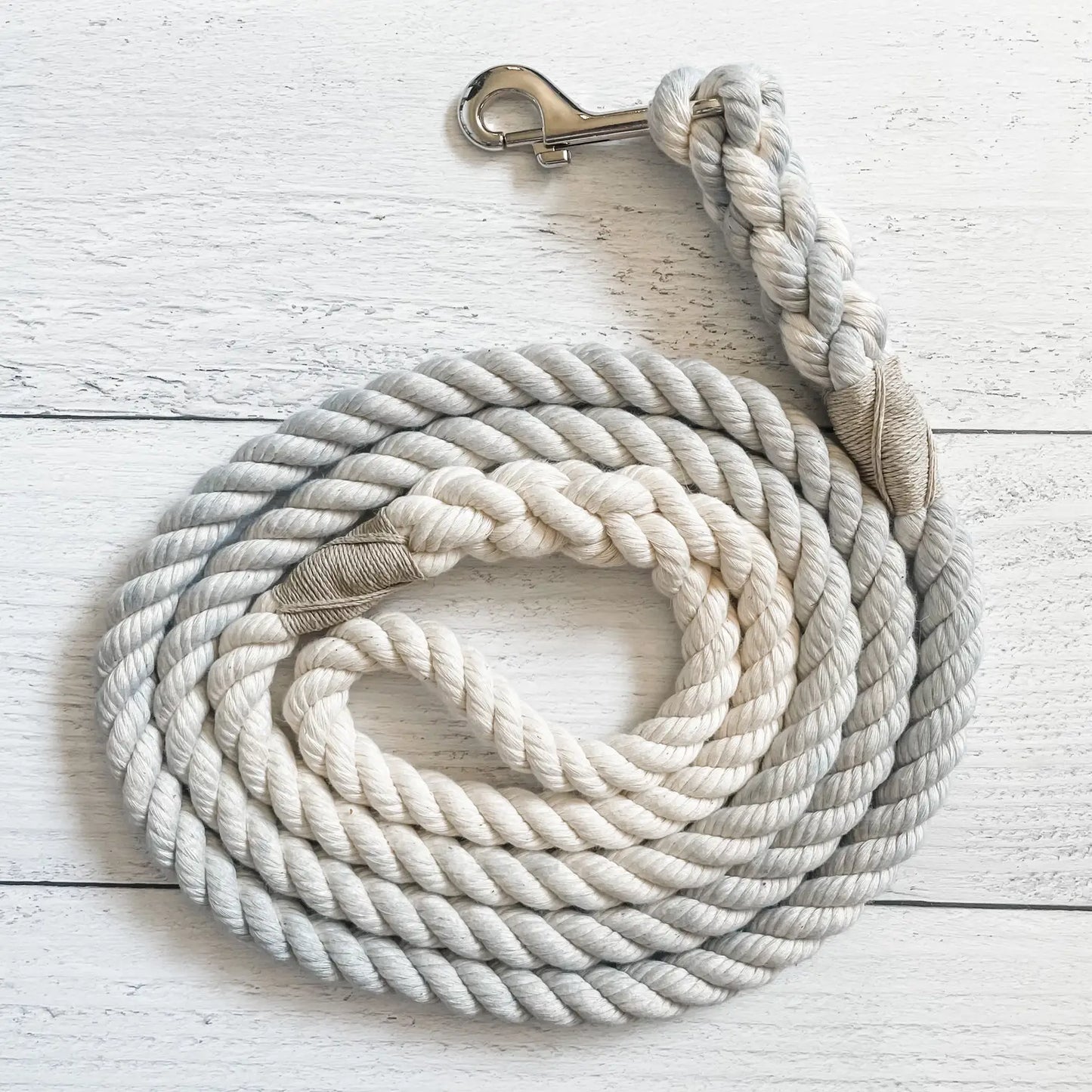 5 Ft. Silver Leash
