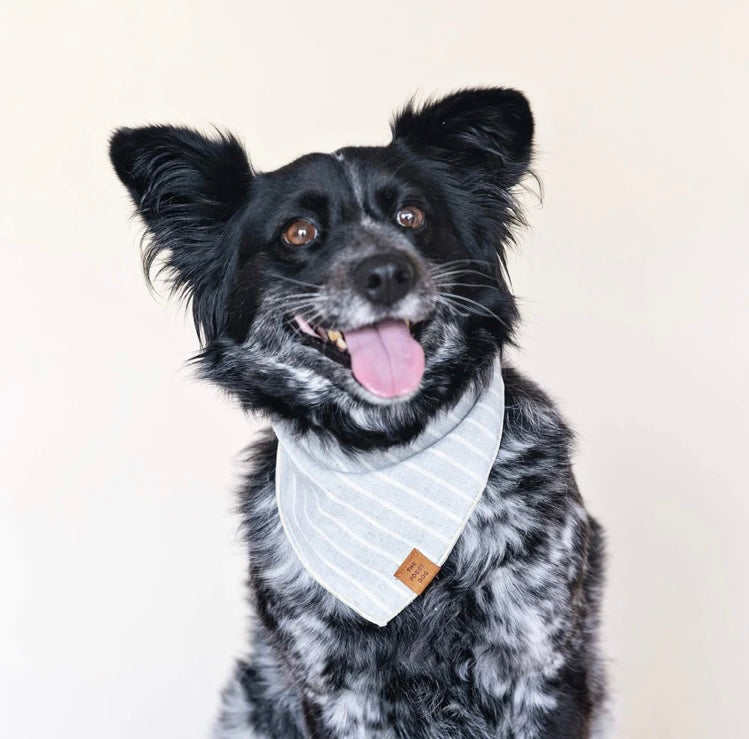 Upcycled Denim Stripe Dog Bandana
