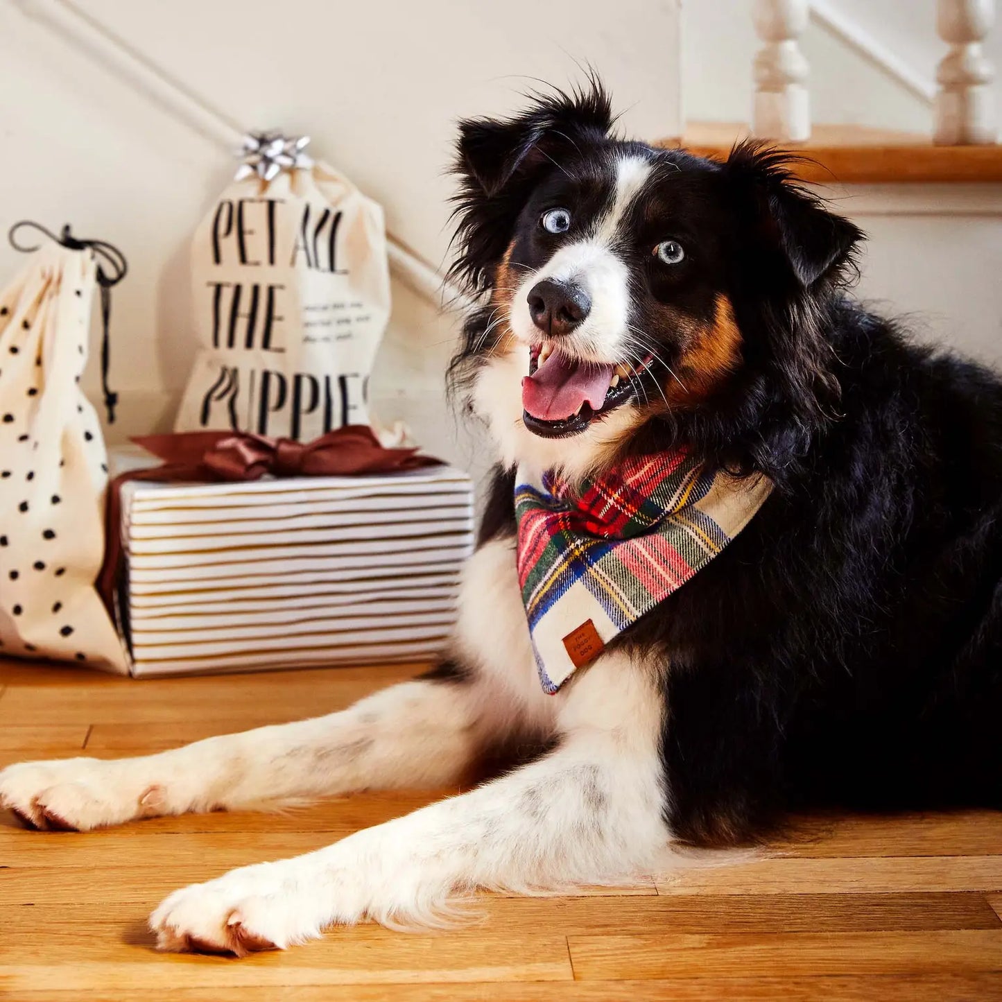 Regent Plaid Dog Bandana